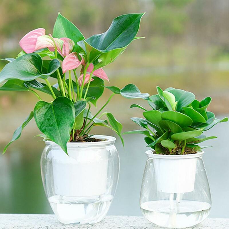 Vaso da fiori autoirrigante pratico vaso da fiori in plastica trasparente per la casa