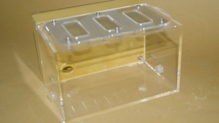 Ants Farm Ant Nest Gypsum &Acrylic  Formicary With Feeding Area With A Shape of Maze Only Used For Small Ants