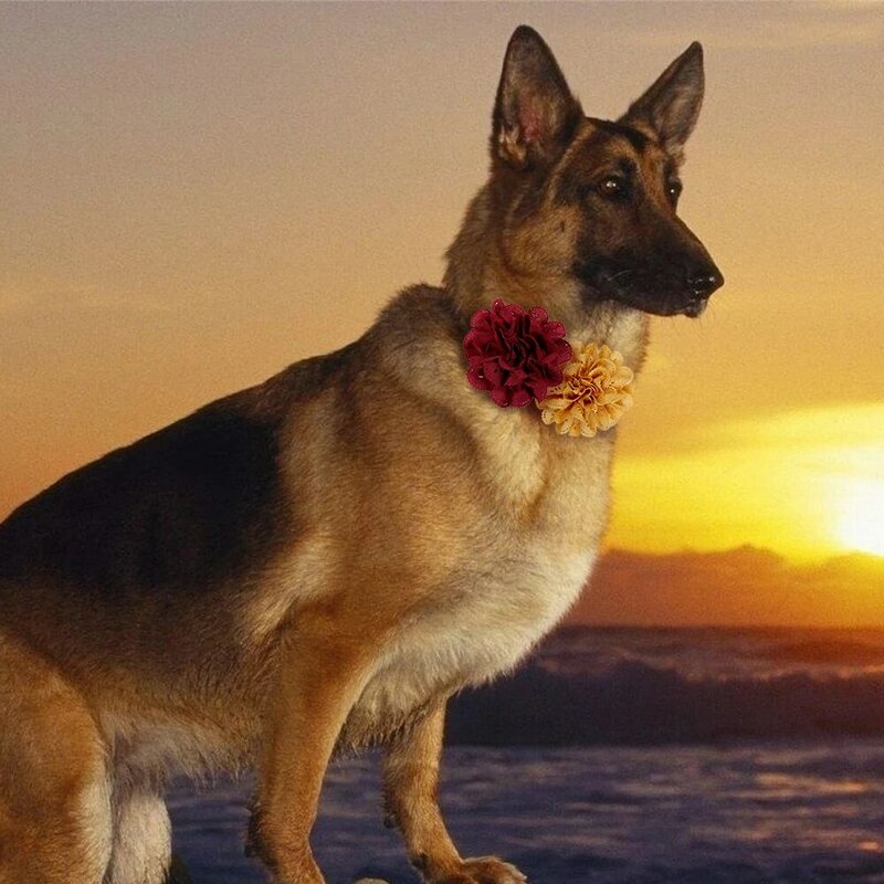 Usuń muszka dla psa 100pc pies duże kwiatowe obroże przesuwne Pet Dog kołnierzyk z muszką akcesoria duży pies muszki produkty do pielęgnacji zwierząt domowych