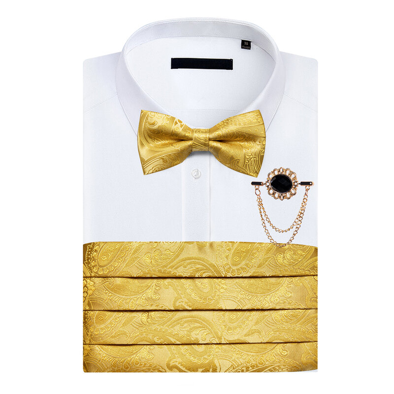 Мужской Блестящий галстук-бабочка с золотым Пейсли, Свадебный официальный Выпускной пояс, эластичный пояс, широкий пояс, набор брошей DiBanGu
