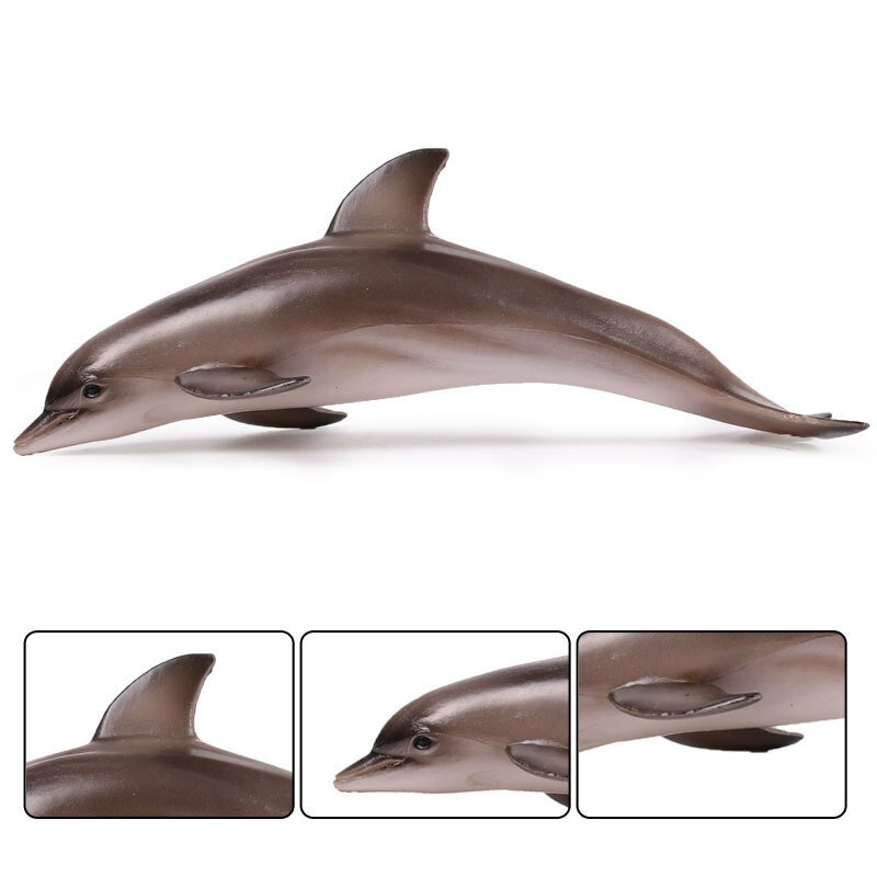 Figuras de acción de animales de la vida marina, modelo de delfín, PVC sólido, juguetes educativos, regalo para niños