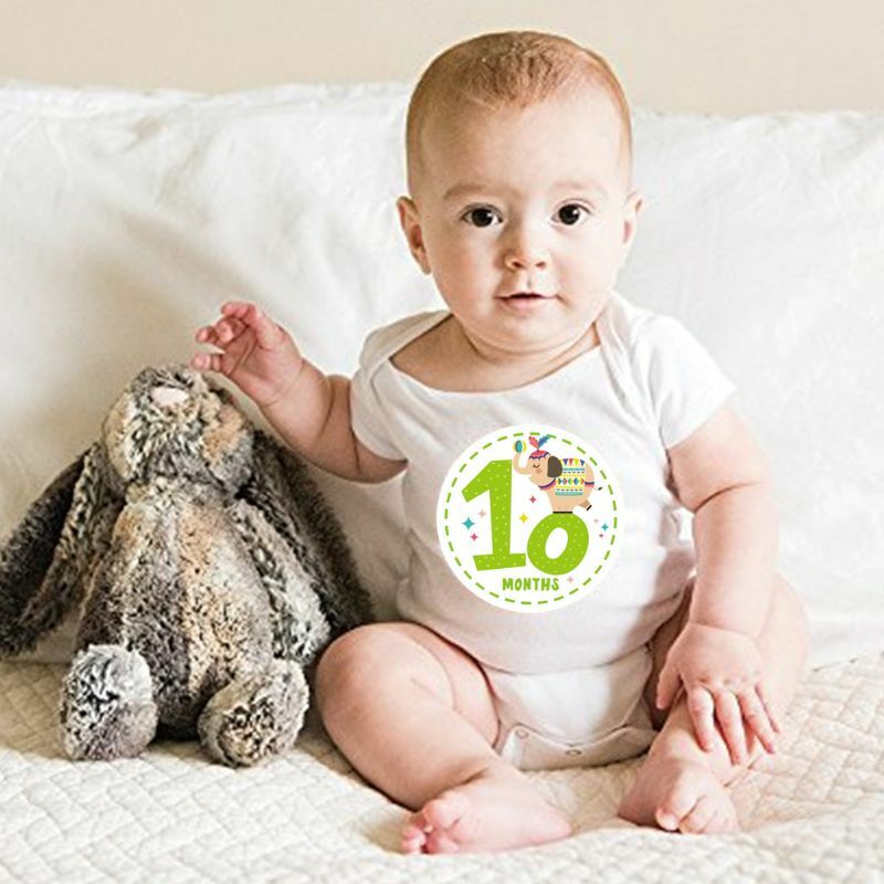 12Pcs adesivo mese animale fotografia bambino numero di carta commemorativa pietra miliare adesivo commemorativo puntelli foto neonato