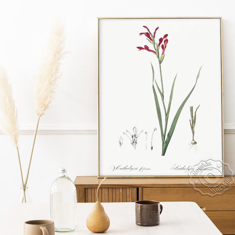 Varie piante di fiori Art Poster, acquerello ornamentale Flora immagine della parete, silenzioso elegante fiore pittura decorativa domestica