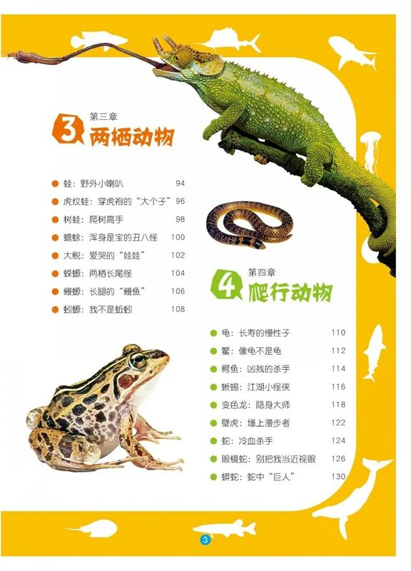 Livre chinois d'encyclopédie des animaux pour enfants, livre de découverte du monde Animal pour étudiants de 8 à 12 ans