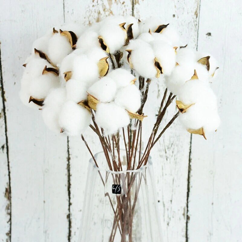 Natürliche Getrocknete Baumwolle Blume Weiß Hause Dekoration Künstliche Blume Zweig Hochzeit Brautjungfer Bouquet Decor Gefälschte Weiß Blumen