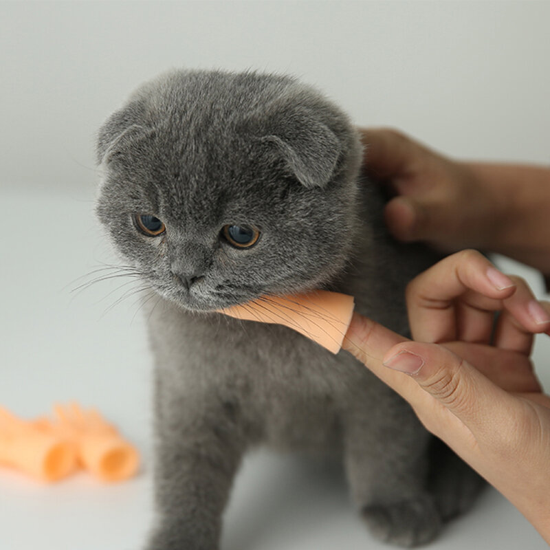 猫用プラスチックフィンガーグローブ,インタラクティブな偽の手の猫のおもちゃ,犬,猫,小さなペット用品,1個
