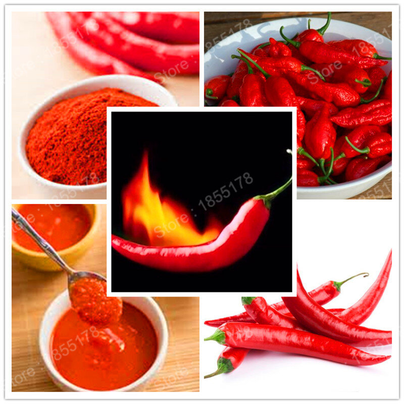 promotion popular vegetable Chilli Red devil Hot Pepper flores pungent peppers Bonsai plants plantas for home & garden 200pcs/ba