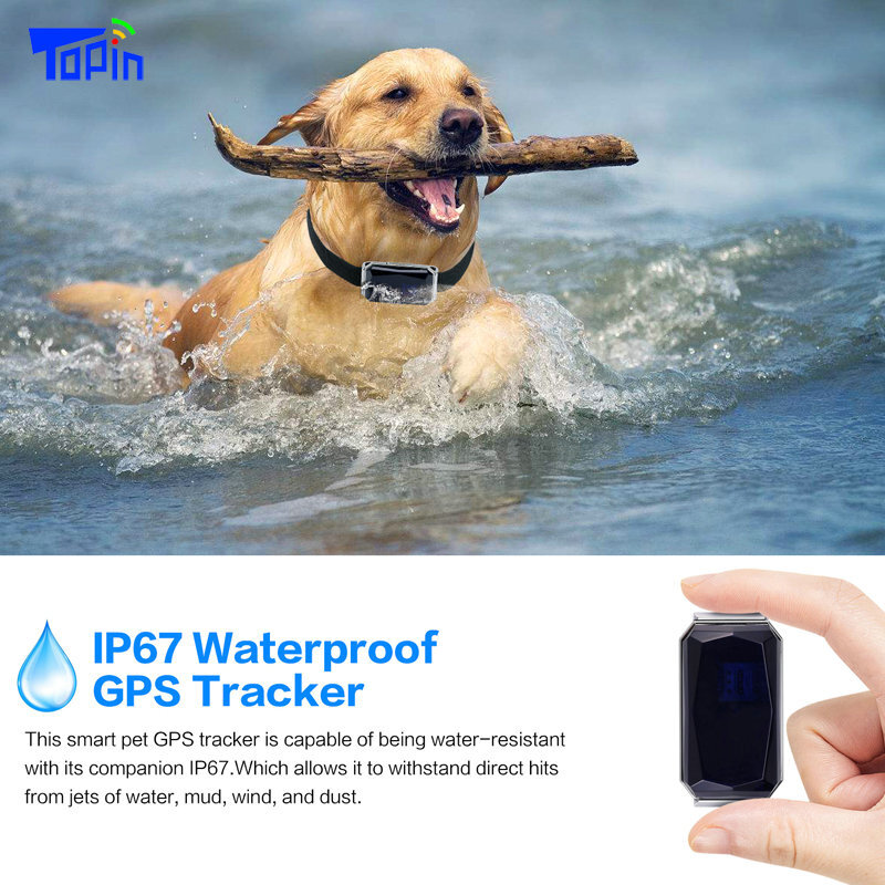 Mini rastreador GPS ligero para mascotas, Collar impermeable IP67, GSM, AGPS, Wifi LBS, perros, gatos, ganado, ovejas, localizador de seguimiento, recién llegado