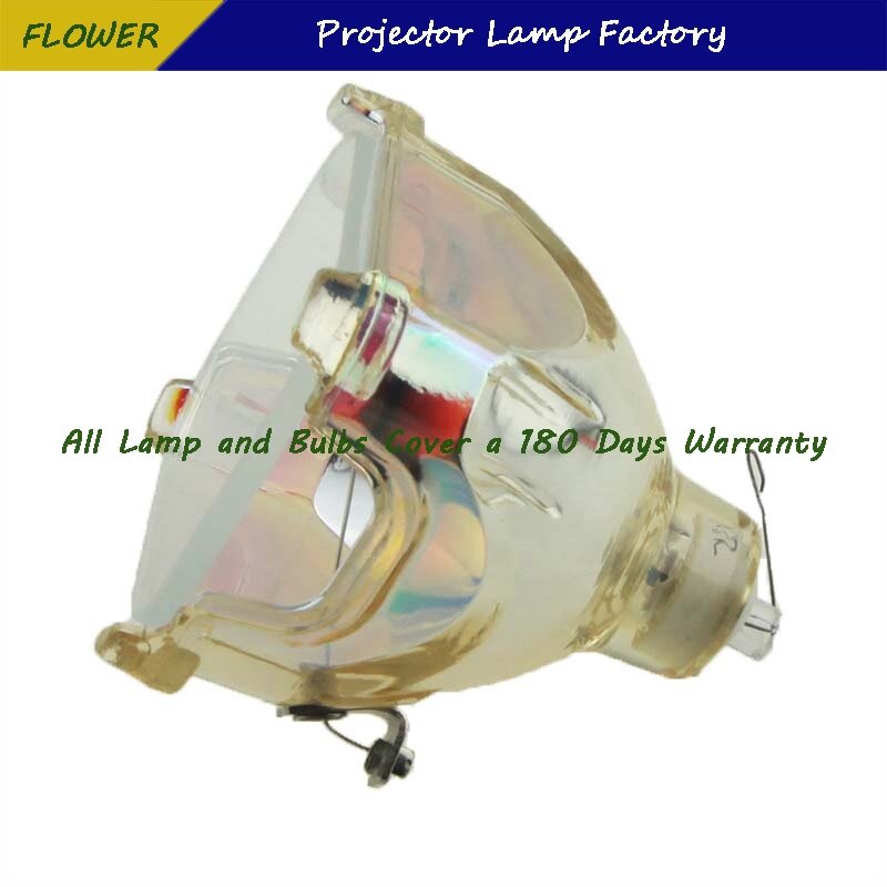 DT00461-Lámpara desnuda para proyector, para HITACHI CP-HX1080 / CP-HS1090 / CP-X275 / CP-X275W / CP-X275WA/CP-X275WT, 180 días de garantía