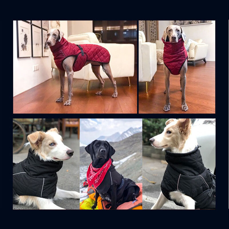 Оптовая продажа, одежда для собак, куртка для собак, зимняя одежда для собак, толстая красная одежда для домашних животных, куртка для крупных собак золотистого ретривера, черное пальто для собак
