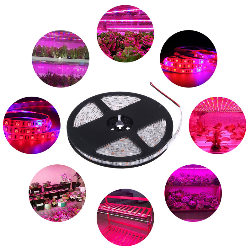 DONWEI-شريط إضاءة LED لزراعة النباتات ، 1 م ، 3 م ، 5 م ، مقاوم للماء ، 5050 SMD ، 4 أحمر: 1 ، أزرق ، مرن ، مصباح نمو النبات