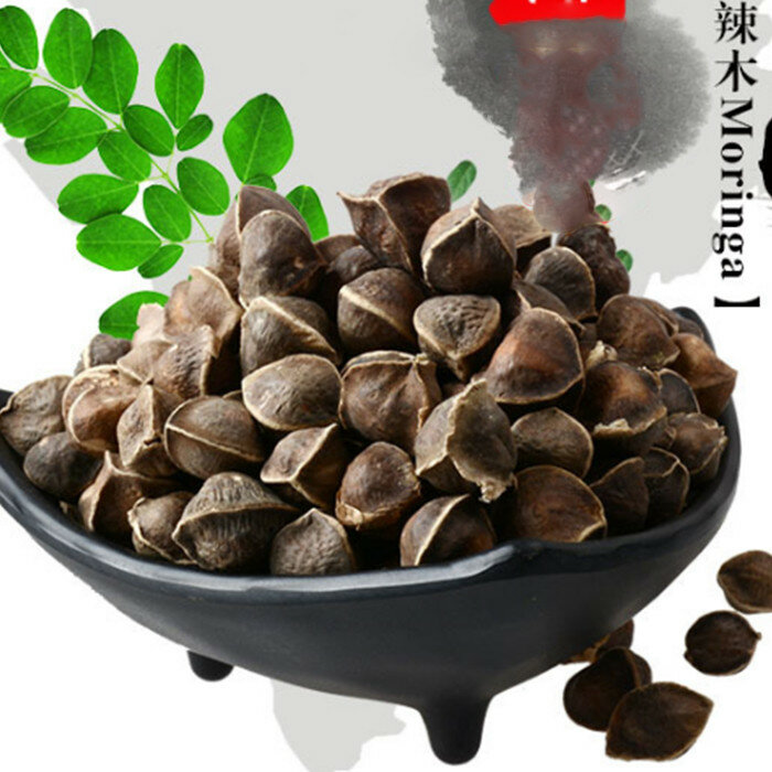 10pcs/bag Moringa seeds moringa oleifera seeds Edible seed bonsai potted moringa tree seeds DIY plant for home garden