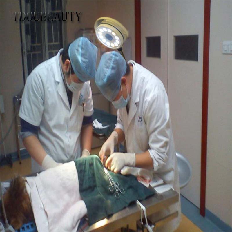 Tdoubeauty Orale Verlichting Draagbare Mobiele Led Chirurgische Medische Examen Licht Schaduwloze Lamp Huisdier Ziekenhuis KD-2012L-1