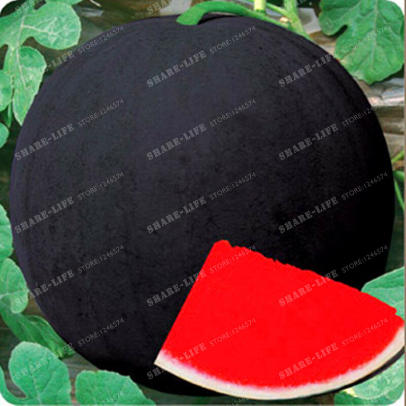 30 PCS Giant Watermelon Seeds Rare Black Tyrant King Super Sweet Watermelon Organic Fruit Seeds Plant For Home Garden