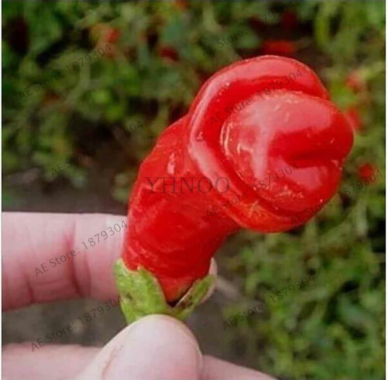 200 stücke Hot Chili Seedsplants Carolina Reaper Bio Bonsai Gemüse Regenbogen Glocke Geist Pfeffer Bonsai Hause Garten Einfach Wachsen