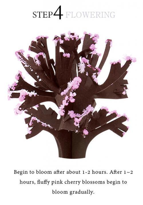 2019 14Hx11Wcm ThumbsUp! Fajna japonia! Magiczne japońskie drzewo Sakura-fabrycznie nowe wykonane w japonii pulpit Cherry Blossom Chritmas prezenty dla dzieci