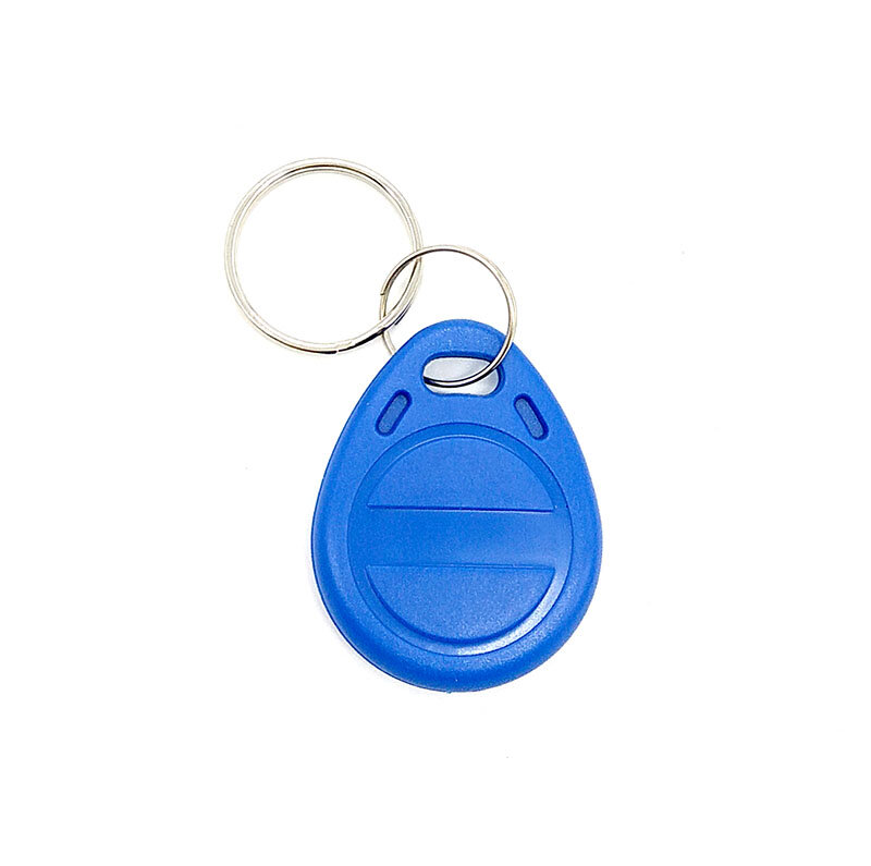 Porte-clés RFID 125KHz TK4100 EM4100, étiquette de proximité, 2 pièces