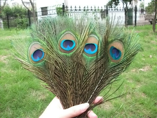 free shipping! High quality peacock feathers, 10 pieces / more, 25-30cm, beautiful natural peacock eyes