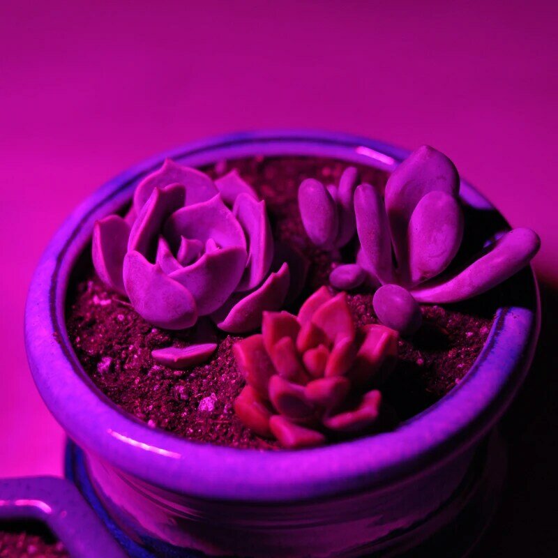 Lampe horticole de croissance pour plantes, 14led, 2.8W, spectre rouge et bleu, USB, hydroponique