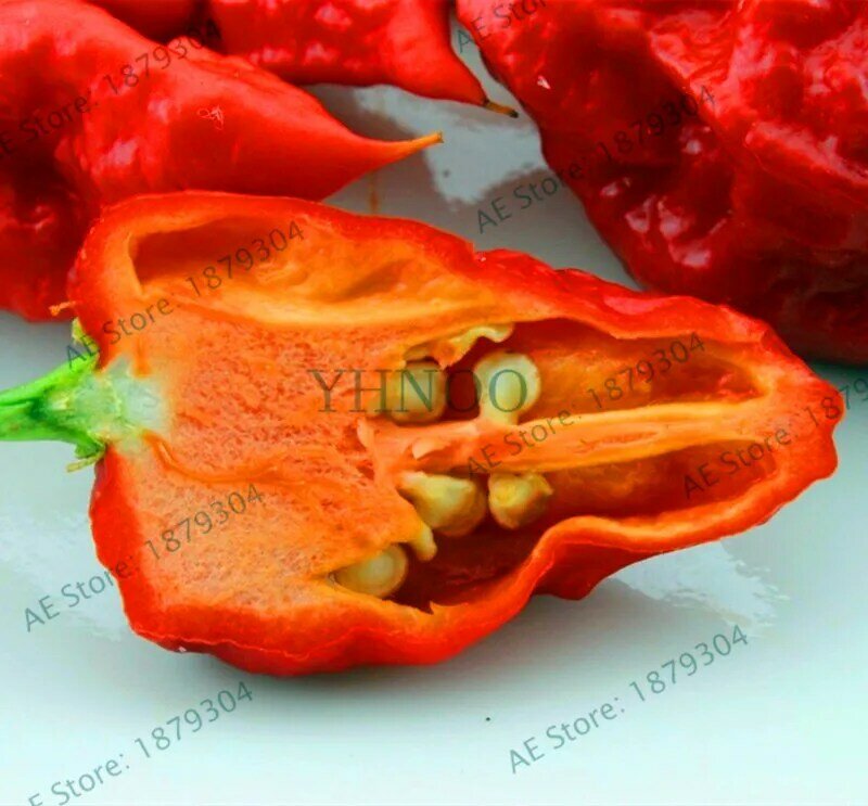 Новинка 2018! 200 шт Carolina Reaper Pepper garden-Capsicum Chinense-самые горячие растения для перца чили-Bonsai Vegetabl