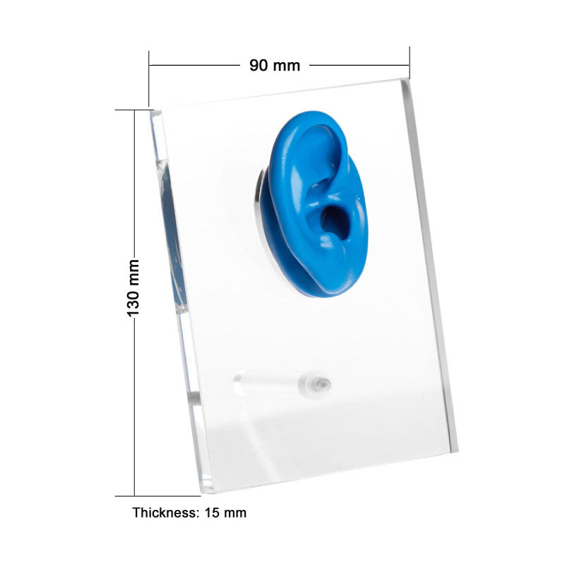 Acrylic Hearing Aid Display with One Silicone Ear for Displaying Hearing Aids Earmolds Jewelry