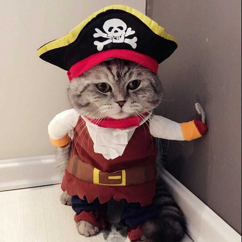 Roupa engraçada do gato Roupa do terno do pirata para o gato Roupa do traje do cão Corsair Roupa do Dia das Bruxas Vestir acima do terno do traje do partido do gato