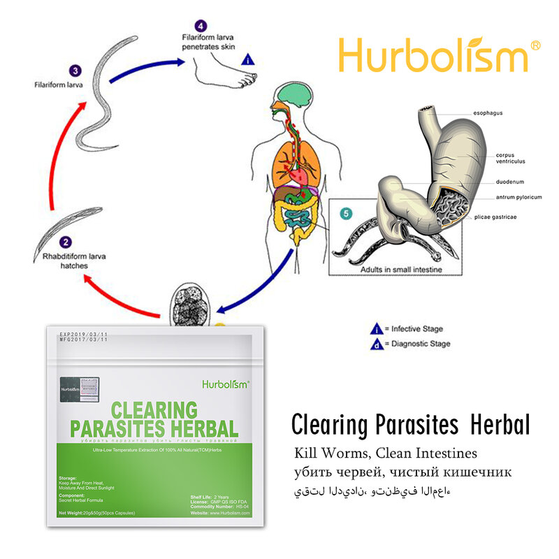 둥근 벌레, 기생충 및 내부 장기를 보호하는 Hurbolism Natural Herbal Powder Formula 50g