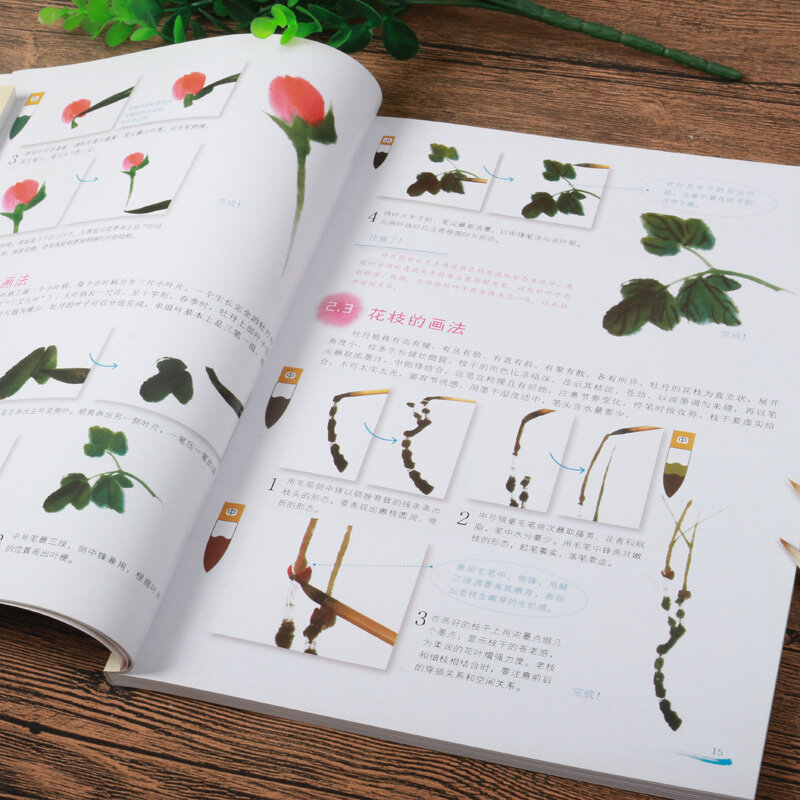 Pennello cinese inchiostro arte pittura sumi-e tecnica di auto-studio disegna quaderno di fiori e piante, fiori e calligrafia