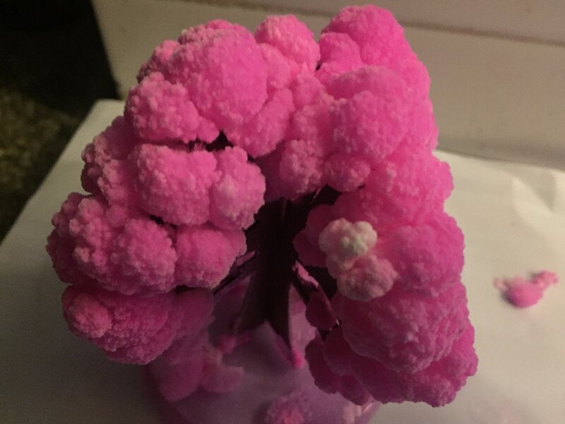 2 TEILE/LOS 9Hx8Wcm Magische Wachsende Baum Mystic Papier Sakura Kristall Bäume Japan Desktop Kirschblüte Pädagogisches Spielzeug Für Kinder