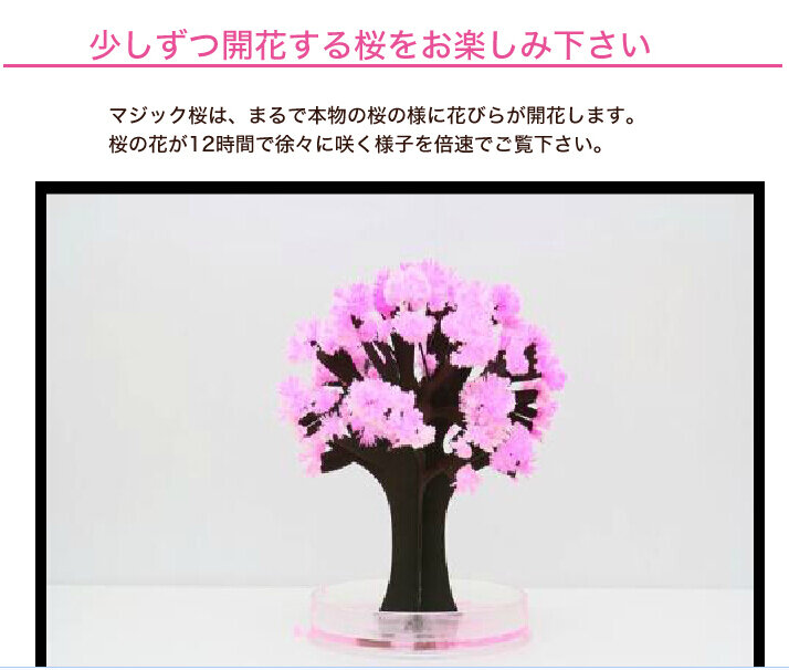 2019 14x11cm rosa grande coltiva la carta magica albero di Sakura Kit di alberi in crescita magica giapponese Desktop Cherry Blossom natale 20 pezzi