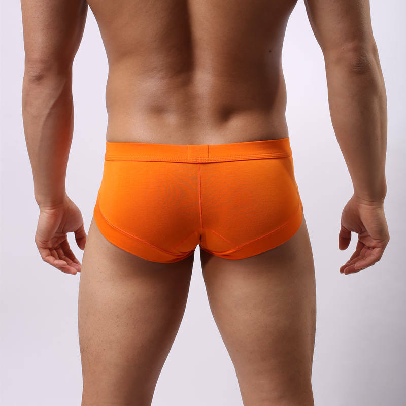 Heren Ondergoed Sexy Slips Onderbroek Voor Man Calzoncillos Kleuren Mannelijke Slipje Jongen Slip Hombre Modemerk Modal Shorts