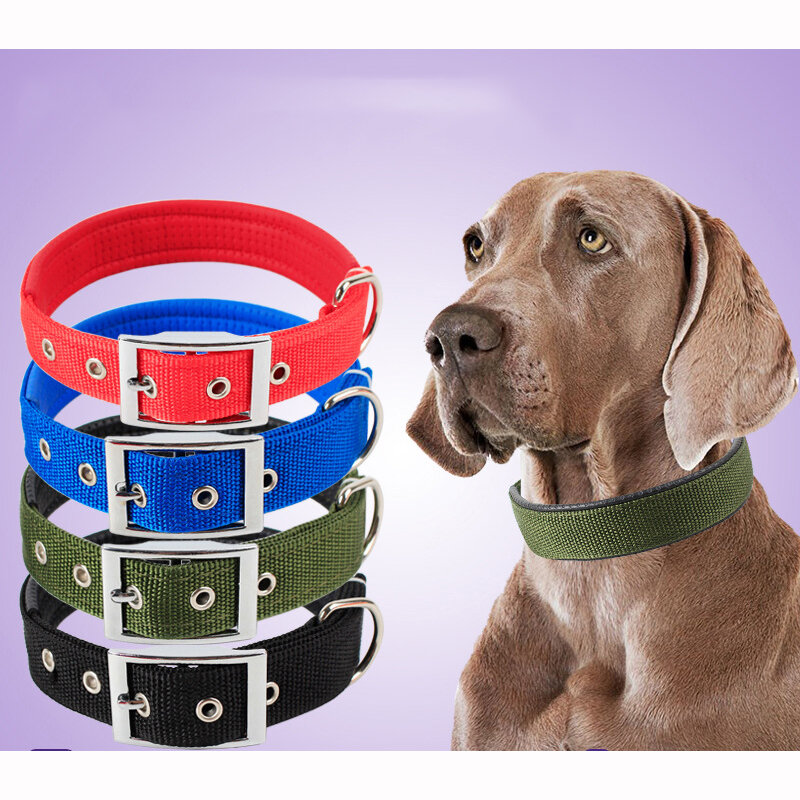 Sólida Nylon Dog Collar, Pequeno Médio e Grande Cães, Teddy, Keji, Pitbull, Buldogue, Beagle