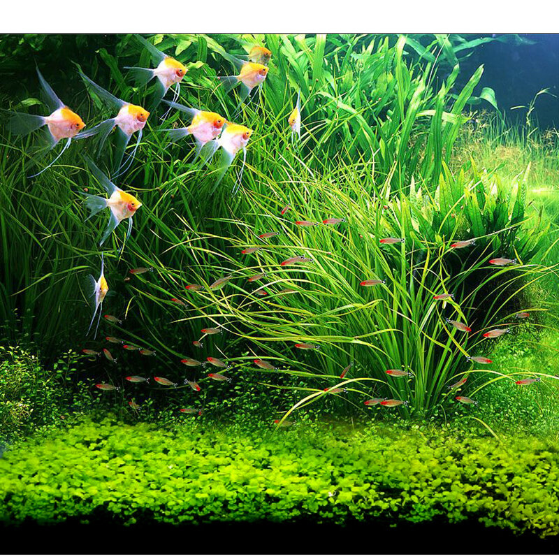 Водная трава 7 видов стилей аквариумные растения любовь пластиковая водная Трава Аквариум растения Украшение Пейзаж орнамент