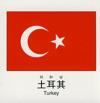 Kartu bendera negara 108 dengan gambar bahasa Inggris dan pin yin untuk anak-anak belajar stroke Cina, belajar buku hanzi