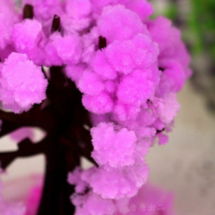 10PCS 2019 9Hx8Wcm Visual Mini Kertas Buatan Pohon Sakura Sihir Tumbuh Pohon Jepang Desktop Cherry Blossom Mainan untuk Anak