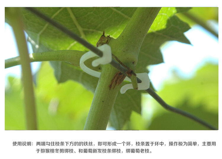 (1 Piece/lot) Anggur Kualitas Tahan Lama Plastik Sling Klip Pengikat Tanaman Vines Tomat Sayur Bush Tendon Pengikat Pertanian Klip