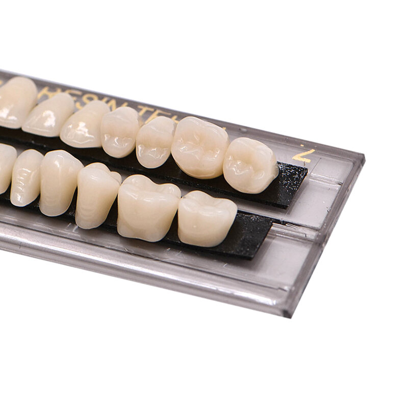 28 pçs/set Bonito Dentes de Resina Composta de Resistência Ideal Tamanho 23 Completa Dentadura Dentadura Material de Prática de Ensino do Estudante Cuidados