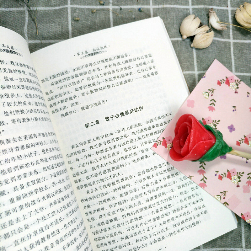 Chinese Scroll Workplace Writer Book, Universtty para o Sucesso, Gestão Empresarial Workplace, Comunicação e Filosofia