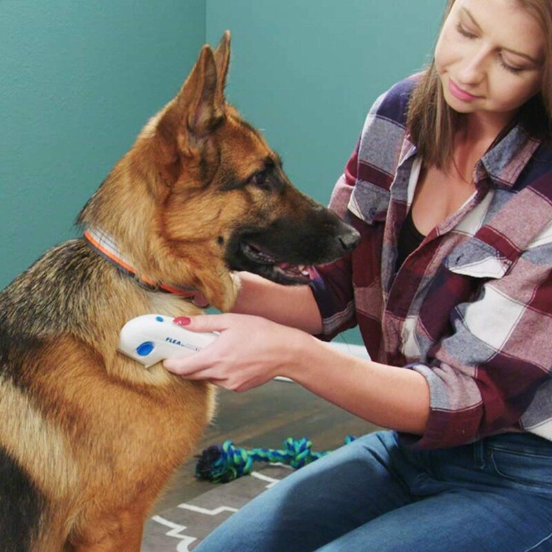 Peigne à puces électrique chien Anti puce peigne tête poux dissolvant animaux contrôle des puces & tiques tueur animaux produits