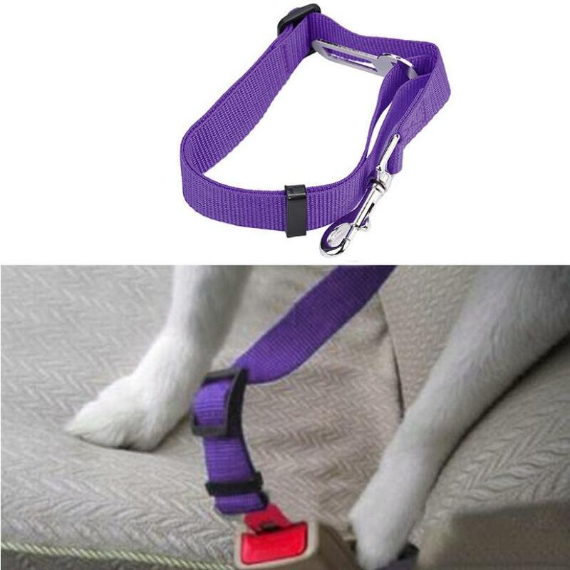 Qualifié Pet Cat chien sécurité véhicule voiture cachorro ceinture de sécurité mascotas chien ceinture de sécurité harnais plomb Clip levier comme robe