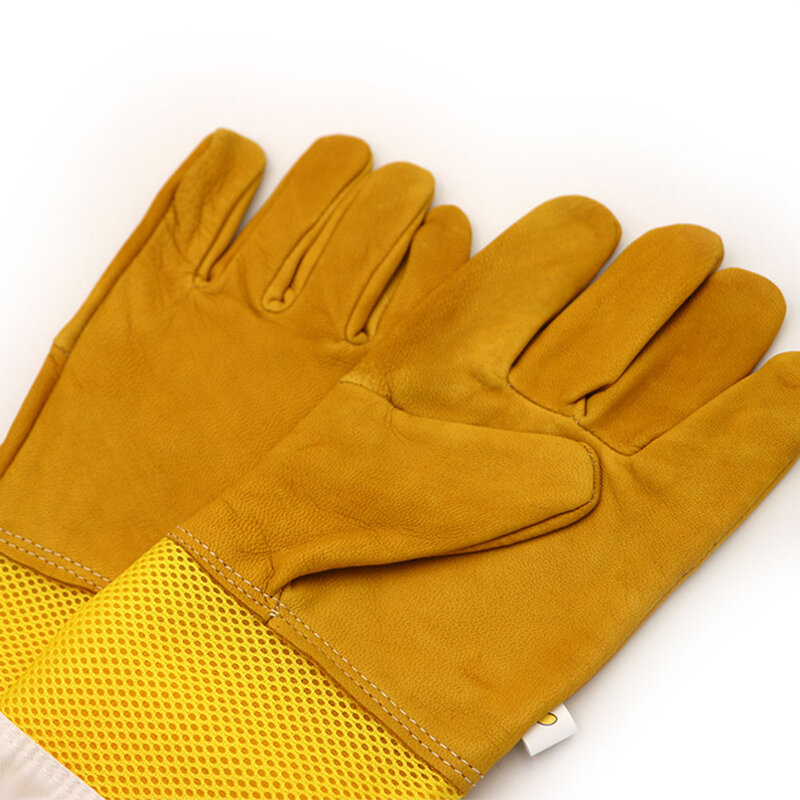 Paire de gants de protection pour l'apiculture, équation en peau de chèvre, filet, maintien ventilé, manches longues, équipement et outils pour l'apiculture