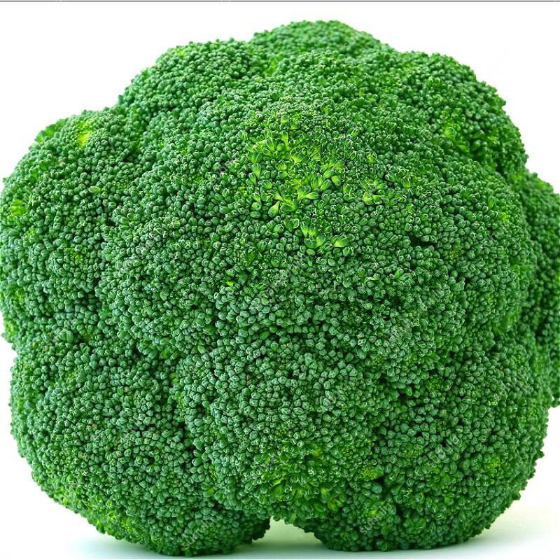 100 Pcs Broccoli Bonsai Organic Heirloom plants Vegetable Bonsai 92%+ Germination Non-GMO High-Quality Vegetable For Home Garden