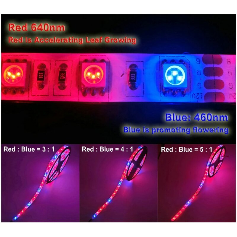 LED Lampu Pertumbuhan DC12V Merah Biru Tumbuh Strip 5050 Phyto Lampu Spektrum Penuh untuk Rumah Kaca Tanaman Hidroponik 5 M/Lot