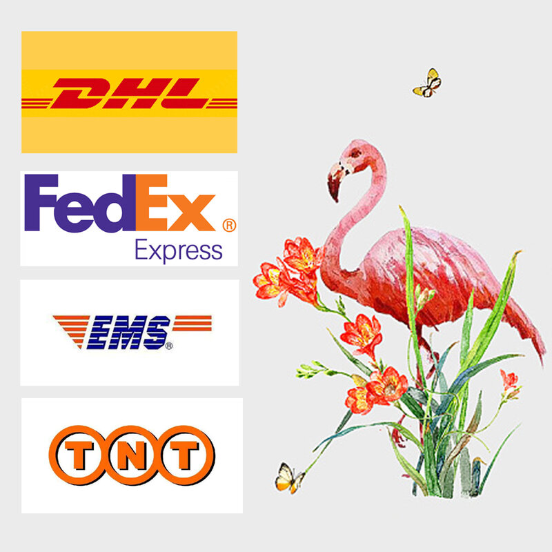 TEELYNN ekstra szybki koszt wysyłki DHL przyspieszony IE i inne