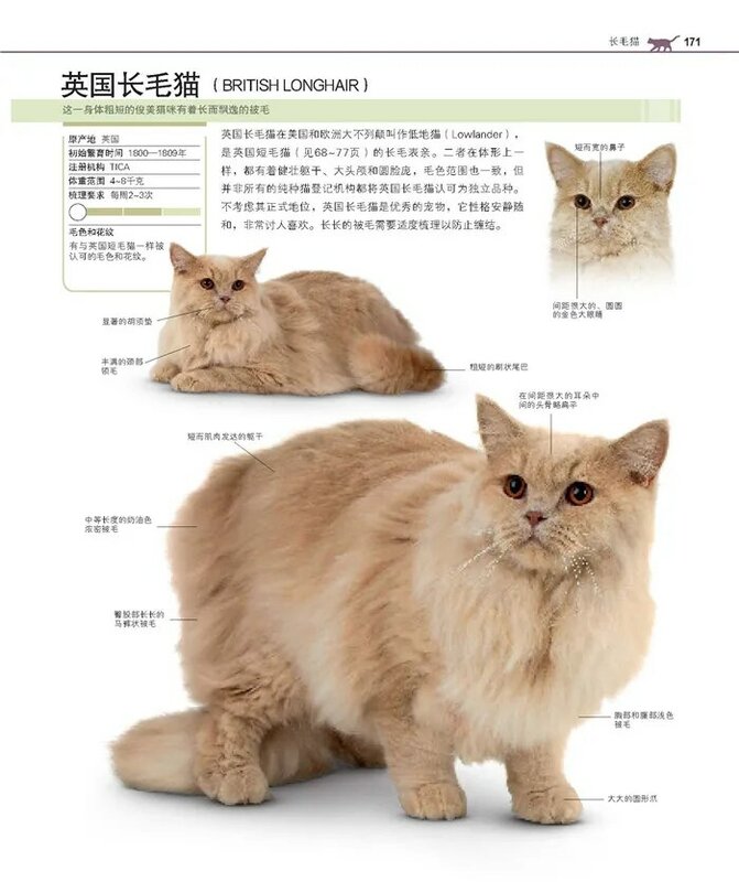새로운 뜨거운 1 pcs 세계 유명한 고양이 domesticated 백과 사전 성인을위한 완벽한 고양이 품종 책