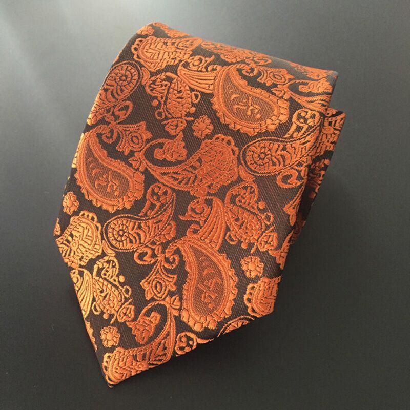SHENNAIWEI-Corbata de jacquard para hombre, conjunto de regalo de Cachemira gravata para boda, novedad