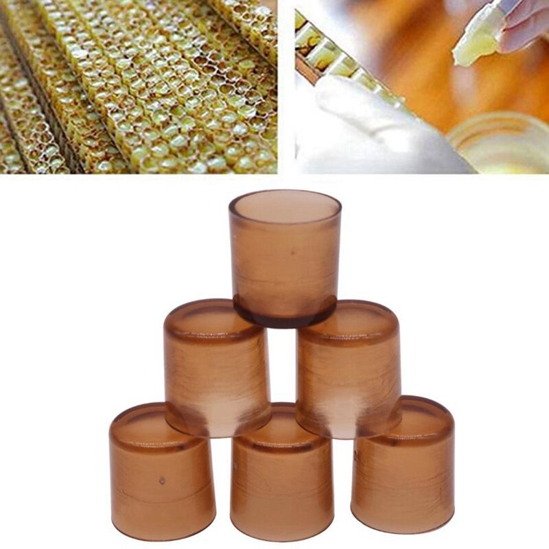 Promotion! 1000 Pcs Beekeeping Queen Cell Brown Bee Feeding Tools Applicable To Beekeepers Bee Queen Breeding Base Appliance B