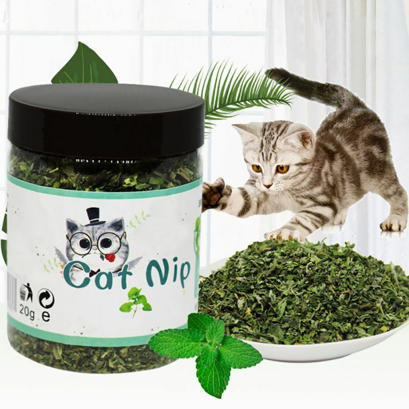 10/20/30g Natural orgánico menta gatuna prémium Catmint sabor mentolado seco gato trata divertido gatito Juguetes