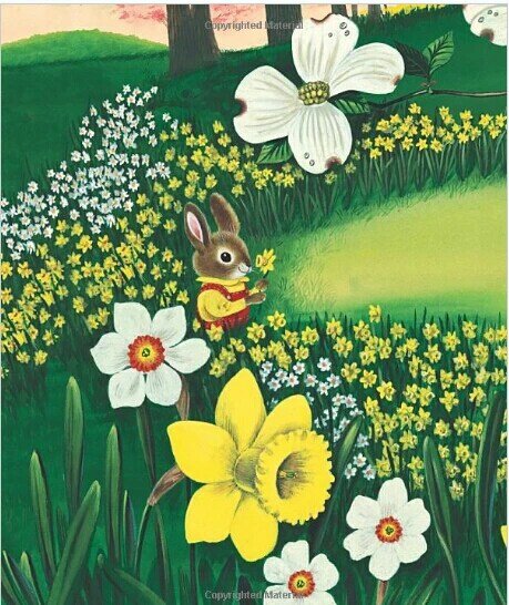 I Am กระต่าย: ภาษาอังกฤษ Picture Bookboard เด็กหนังสือเด็ก0-3อายุ
