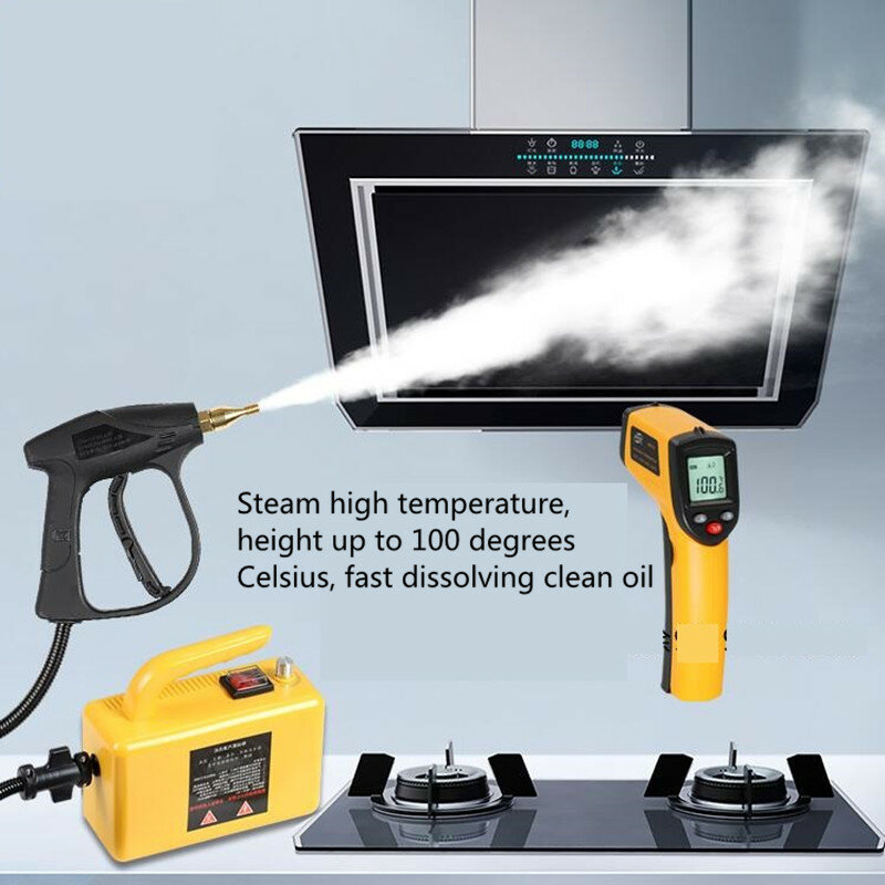 جهاز تنظيف بالبخار بدرجة حرارة عالية 110 فولت 220 فولت لغطاء السيارة ومكيف الهواء وجهاز تنظيف متنقل للضخ والتعقيم
